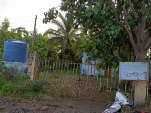 green forests Project by NGO in Maharashtrian