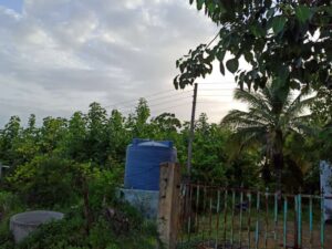 Your contributions help us plant more trees - Bhumi Putra Bhag