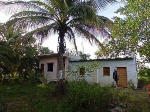 Reforestation NGO project in Maharashtra