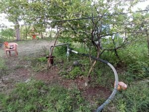 Reforestation NGO project in Maharashtra