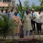 कुठेच जागा नसेल तर एक झाड स्मशानभूमीत लावा,