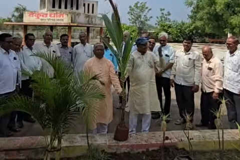 समाज विकास संस्था - गैर-लाभकारी संगठन