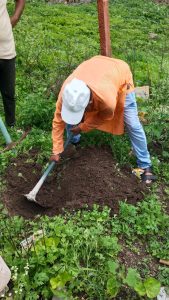 Sapling distribution Bhumiputra , samaj vokas sanstha