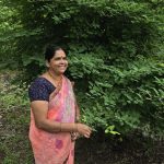 Samaj vikas Sanstha. Tutrori Taluka, Umarga district, Dharashiv tree plantation and former training