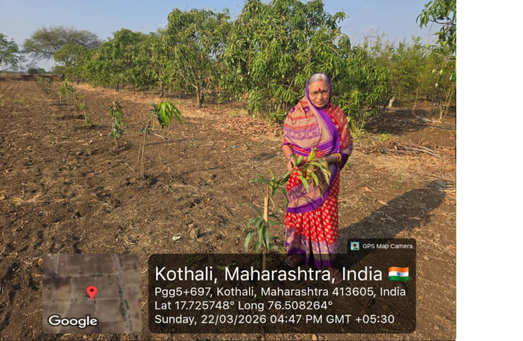 Samaj vikas Sanstha. Tutrori Taluka, Umarga district, Dharashiv tree plantation and former training